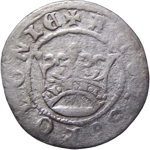 Sigismund I the Old, half-penny without date, Cracow, REGIS (5)