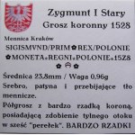 Zygmunt I Stary, grosz 1528, Kraków (7)