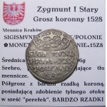 Zikmund I. Starý, penny 1528, Krakov (7)