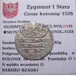 Zikmund I. Starý, penny 1528, Krakov (8)