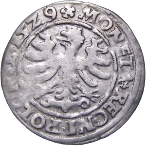 Sigismund I. der Alte, Pfennig 1529, Krakau, ILLUSTRATED (9)