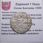 Zygmunt I Stary, grosz 1529, Kraków, ILUSTROWANY (9)