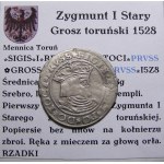 Sigismund I the Old, 1528 penny, Torun (14)