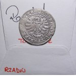 Sigismund I. der Alte, Pfennig 1528, Toruń (14)