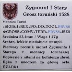 Zygmunt I Stary, grosz 1528, Toruń (15)