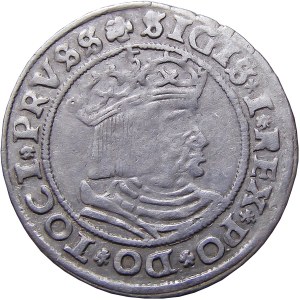 Sigismund I. der Alte, Pfennig 1529, Toruń SEHR GUT (16)