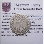 Sigismund I. der Alte, Pfennig 1529, Toruń SEHR GUT (16)