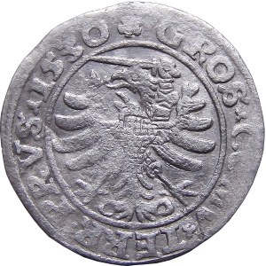 Zygmunt I Stary, grosz 1530, Toruń RZADKI (17)