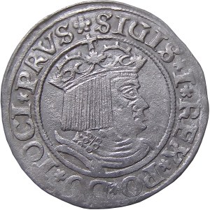 Sigismund I. der Alte, Pfennig 1530, Toruń SEHR GUT (18)