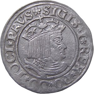 Sigismund I the Old, 1530 penny, Torun VERY nice (18)