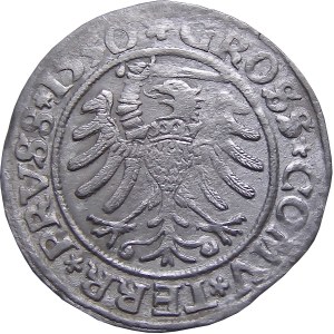 Sigismund I. der Alte, Pfennig 1530, Toruń SEHR GUT (18)