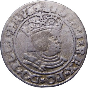 Sigismund I. der Alte, Pfennig 1530, Toruń (20)