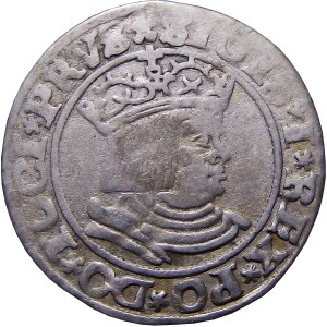 Sigismund I the Old, penny 1530, Torun (20)
