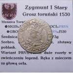 Sigismund I. der Alte, Pfennig 1530, Toruń (20)