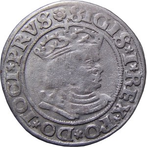 Sigismund I. der Alte, Pfennig 1530, Toruń SEHR GUT (21)