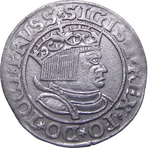 Sigismund I the Old, 1533 penny, Toruń VERY nice (26)
