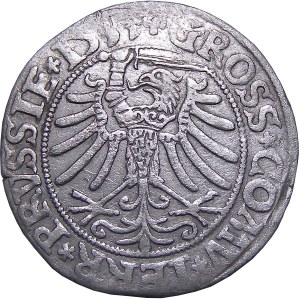 Sigismund I. der Alte, Pfennig 1533, Toruń SEHR GUT (26)