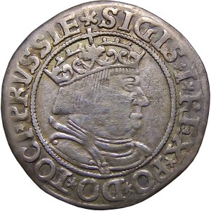 Zikmund I. Starý, penny 1534, Toruň VELMI ŠPATNÝ (27)