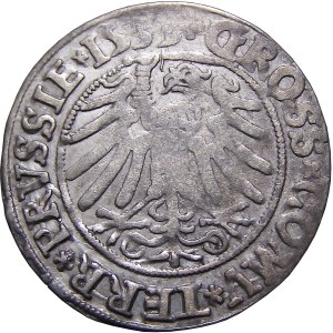 Sigismund I. der Alte, Pfennig 1535, Toruń SEHR GUT (28)
