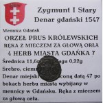 Zikmund I. Starý, denár 1547, Gdaňsk (29)