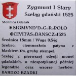 Zygmunt I Stary, szeląg 1525, Gdańsk PIĘKNY (30)
