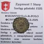 Sigismund I the Old, 1525 shilling, Gdansk BEAUTIFUL (30)