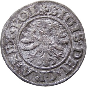 Zikmund I. Starý, šilink 1530, Gdaňsk (31)