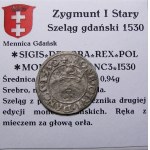 Žigmund I. Starý, šiling 1530, Gdansk (31)