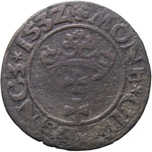 Zygmunt I Stary, szeląg 1532, Gdańsk (33)