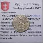 Zikmund I. Starý, šilink 1547, Gdaňsk VELMI DOBRÝ (34)