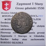 Sigismund I the Old, penny 1530, Gdansk VERY RARE (25)