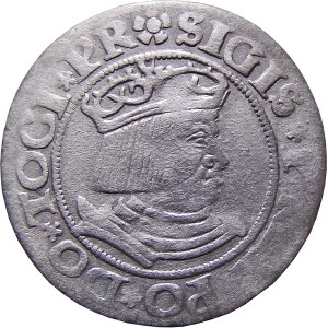 Sigismund I the Old, 1531 penny, Gdansk PR (36)