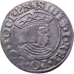 Zygmunt I Stary, grosz 1533, Gdańsk PR BARDZO RZADKI (40)