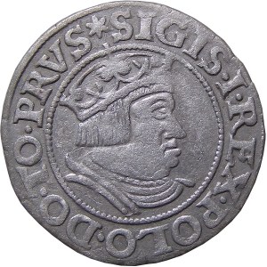 Zikmund I. Starý, groš 1535, Gdaňsk VELMI DOBRÝ (42)