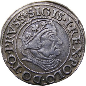 Sigismund I. der Alte, Pfennig 1538, Danzig PRVSS BEAUTIFUL (44)