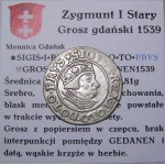 Zikmund I. Starý, groš 1539, Gdaňsk PRVS BEAUTIFUL (45)