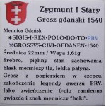 Zygmunt I Stary, grosz 1540, Gdańsk PRV PIĘKNY (46)