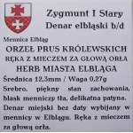 Zygmunt I Stary, denar bez daty, Elbląg (48)