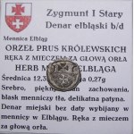 Sigismund I the Old, denarius without date, Elblag (48)