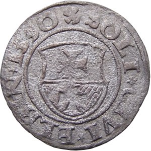 Zikmund I. Starý, šilink 1530, Elbląg (49)