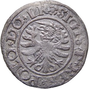 Sigismund I the Old, 1530 shilling, Elblag (49)
