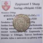 Zikmund I. Starý, šilink 1530, Elbląg (49)