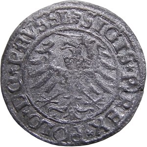 Sigismund I the Old, 1532 shilling, Elblag BEAUTIFUL (51)