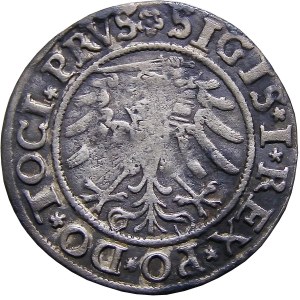 Sigismund I the Old, 1533 penny, Elblag VERY nice (52)