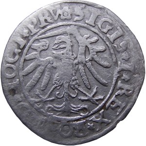 Zikmund I. Starý, groš 1534, Elblag VELMI DOBRÝ (53)