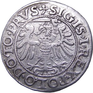 Sigismund I the Old, penny 1539, Elblag BEAUTIFUL STAR (54)