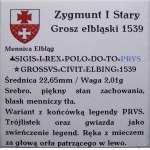 Zygmunt I Stary, grosz 1539, Elbląg GWIAZDA PIĘKNY (54)