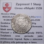 Zygmunt I Stary, grosz 1539, Elbląg GWIAZDA PIĘKNY (54)