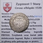 Zikmund I. Starý, groš 1539, Elbląg BEAUTIFUL FLOWER (55)