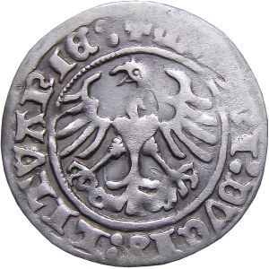 Sigismund I. der Alte, halber Pfennig 1513, Vilnius SIGISMVNI SEHR SICHER (57)